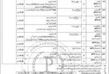 Airport Security Force Jobs October 2026