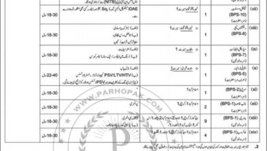 Airport Security Force Jobs October 2026