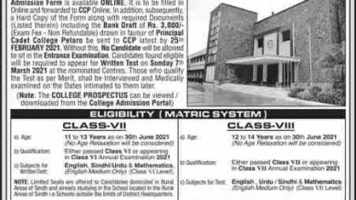 Cadet College Petaro Admission 2026