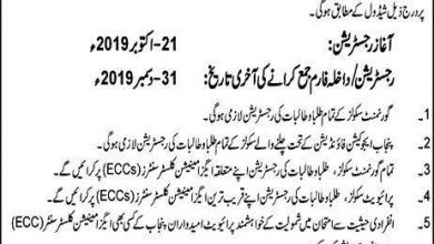 PEC 8th Class Registration Form 2026