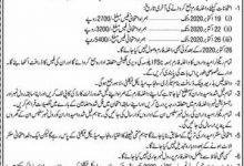 Punjab Medical Faculty PMF Lahore Admission Form 2026