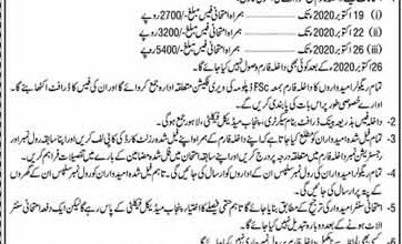 Punjab Medical Faculty PMF Lahore Admission Form 2026