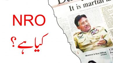 What Is The Meaning Of NRO In Pakistani Politics