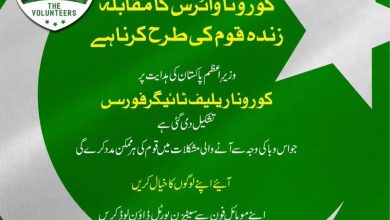 How To Apply On PM Corona Relief Tiger Force In Pakistan