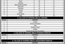 Directorate of Nursing Sindh Karachi Admission 2026 NTS
