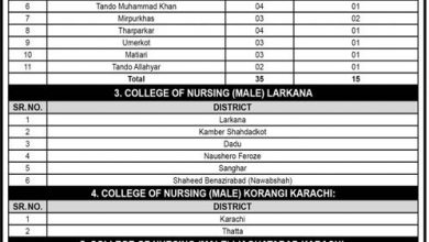 Directorate of Nursing Sindh Karachi Admission 2026 NTS 6 Directorate of Nursing Sindh Karachi Admission 2026 NTS