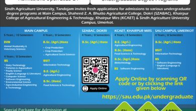 Sindh Agriculture University Tandojam Admission 2026-24 7 Sindh Agriculture University Tandojam Admission 2026-24
