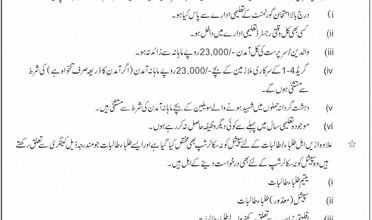 PEEF Scholarship For AJK Students 2026-2021
