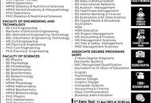 The University Of Faisalabad Admissions 2026