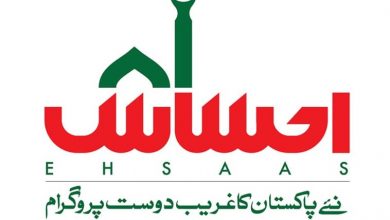 Ehsaas Program CNIC Check Online Registration 2026