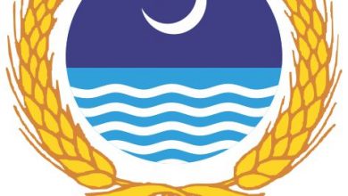 University of Agriculture Faisalabad UAF Merit List 2026