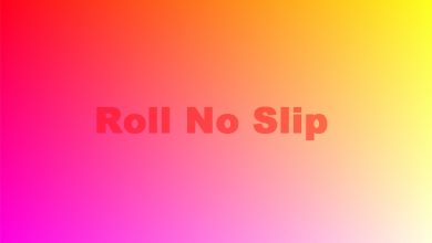 Lahore Board 12th Class Roll No Slip 2026