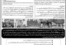 UVAS Mphil And Phd Admission 2026