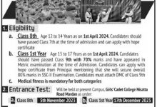 Girls Cadet College Mardan Admission 2026 Last Date, Form