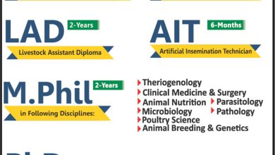 Riphah International University Lahore Admissions 2026 6 Riphah International University Lahore Admissions 2026